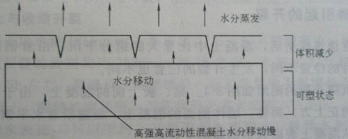 香港六宝联盟大全